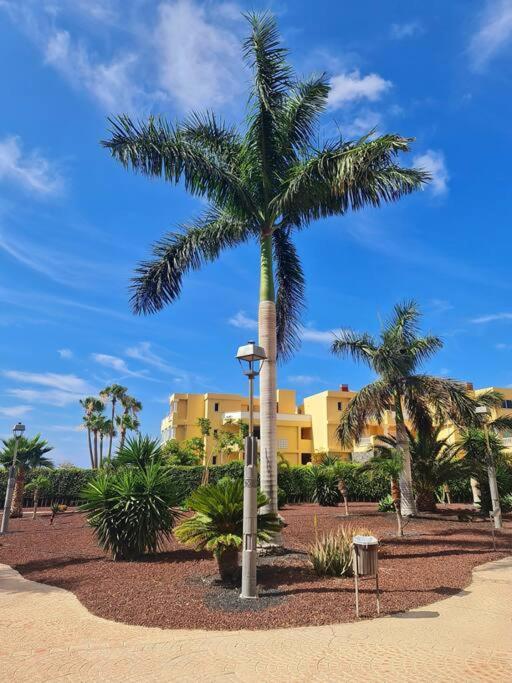 Homely Apt In Modern Building With Pool San Miguel de Abona Exteriör bild