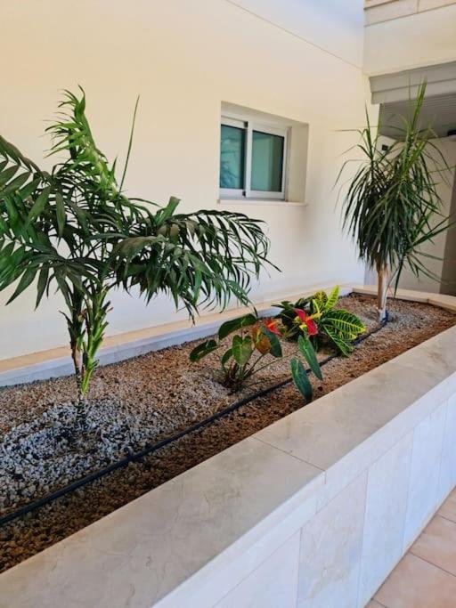 Homely Apt In Modern Building With Pool San Miguel de Abona Exteriör bild